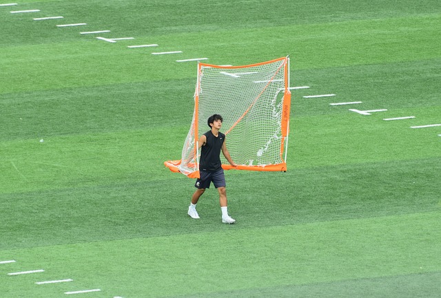 不仅提升了