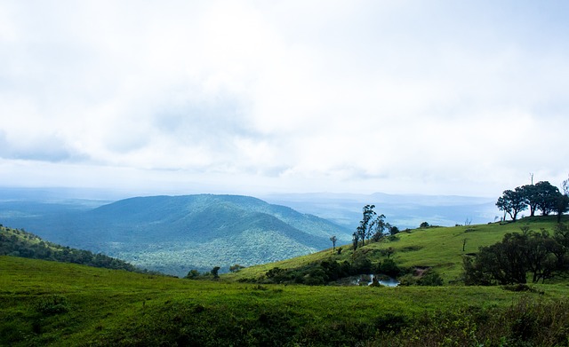 中回应了我 中回应了我