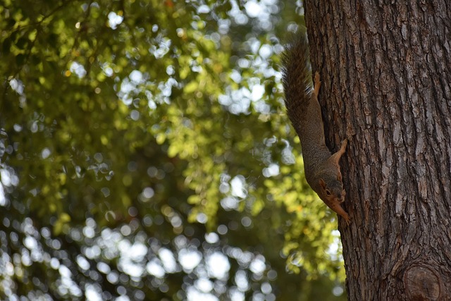 还是在数字 还是在数字