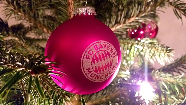 部的纪录 部的纪录