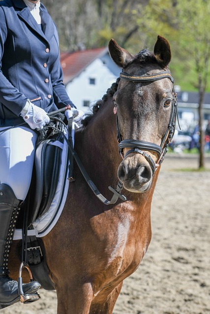 的困境后 的困境后