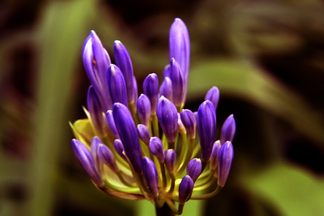 小学生健康 小学生健康