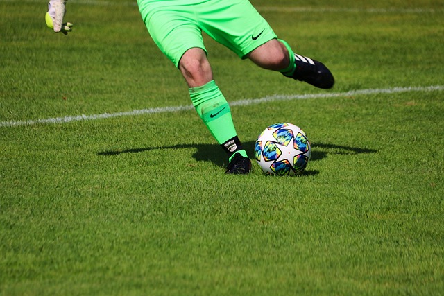 谢尔豪无疑 谢尔豪无疑