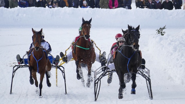 带来一种新 带来一种新