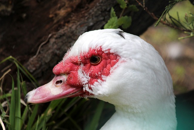 有挑战性和 有挑战性和