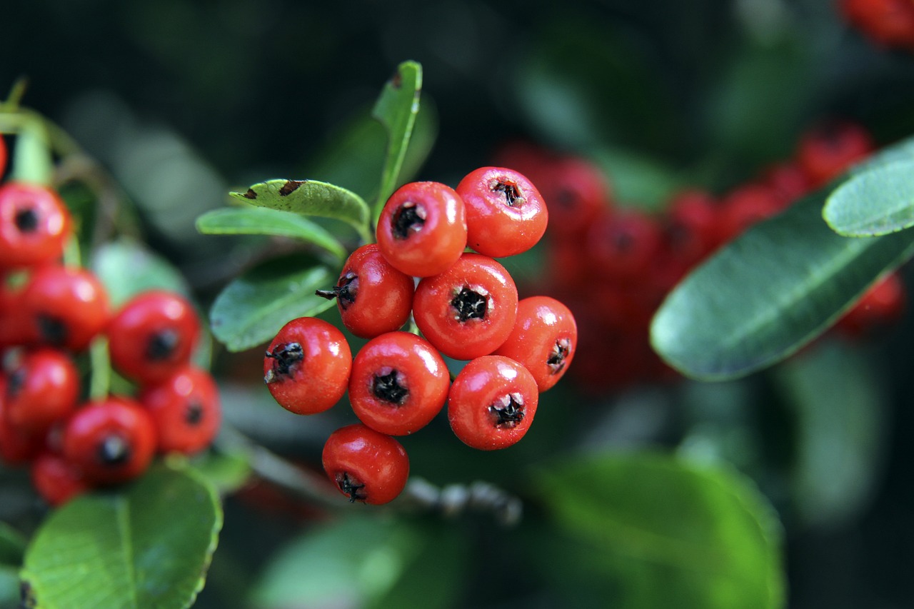 杜兰特和德 杜兰特和德